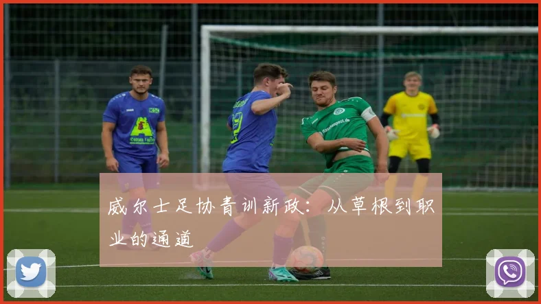 威尔士足协青训新政：从草根到职业的通道
