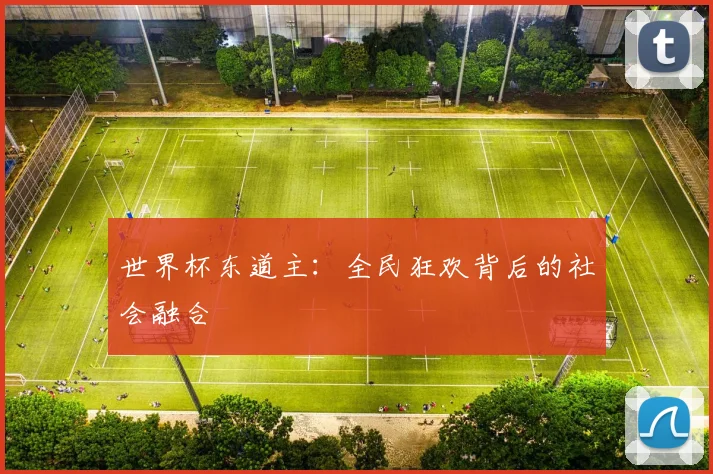 世界杯东道主：全民狂欢背后的社会融合
